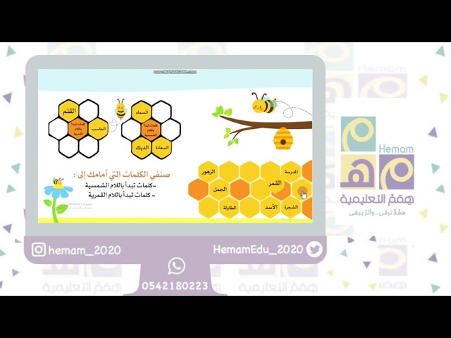 خلية النحل  ‏(لعبة تفاعلية لمهارة التصنيف )