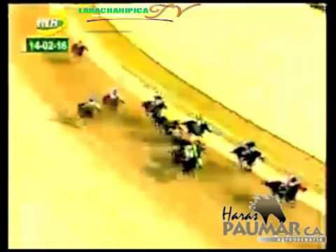 TOMA DE FRENTE DE LA 6 CARRERA, LA RINCONADA DOMINGO 14 DE FEBRERO DEL 2016