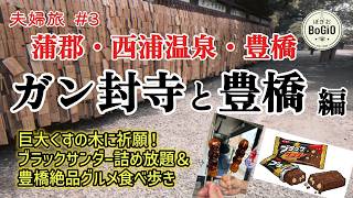 【蒲郡‣西浦温泉‣豊橋1泊2日#3】ガン封じ寺参拝｜ブラックサンダー詰め放題に挑戦！＆豊橋グルメ喰い倒れ夫婦旅
