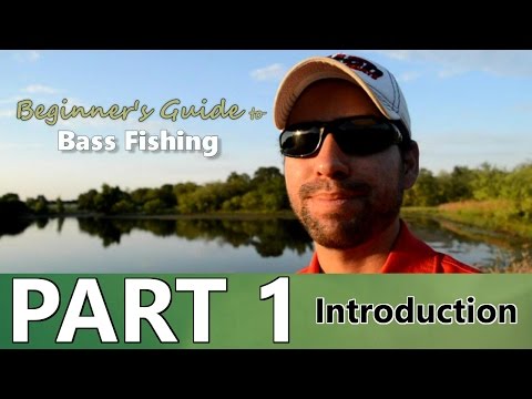 Beginner's Guide to BASS FISHING - Part 1 - Introduction Video