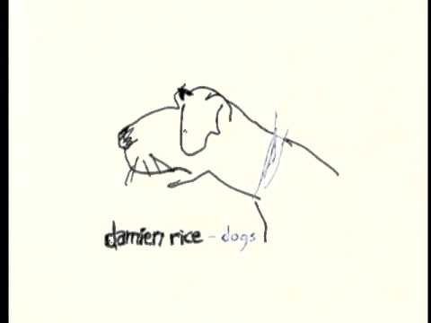 Damien Rice - 9 Crimes (Live at Wisseloord Studios)