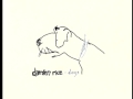 Damien Rice - 9 Crimes (Live at Wisseloord ...