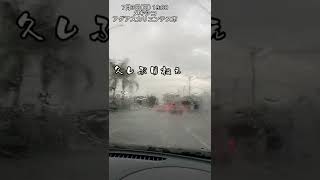 アイルランド→その後米国からメキシコに戻ってきた男🌮🇲🇽アグアスカリエンテスの雨季。この後洪水起こった #国際結婚 #海外生活