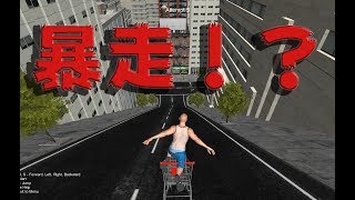 【バカゲー】半裸のお姉さんの部屋にショッピングカートで突っ込むゲーム【Cart Raser】