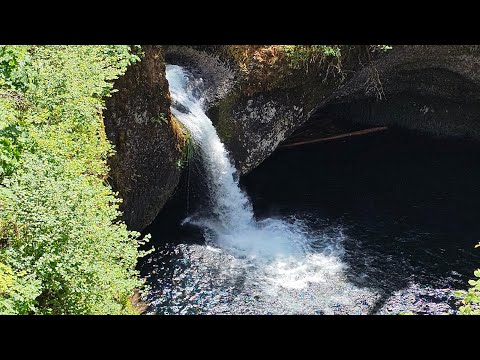 ✨ Cinematic Hike Through Eagle Creek to Punch Bowl Falls
