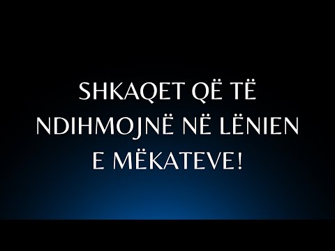 Shkaqet që të ndihmojnë në lënien e mëkateve! - Shejh Ubejd elXhabiri
