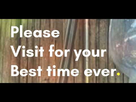 The Solluna Resort Jim Corbett ।। Resort Like Heaven।। Experience shared by a guest