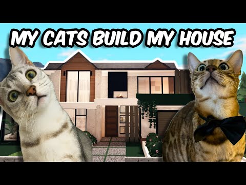 LETTING MY CATS DECIDE MY BLOXBURG HOUSE