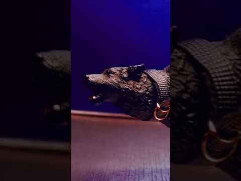 Напомни-ка свой пол?