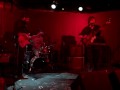 Papercuts--Tulips