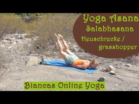Yoga Asana: Salabhasana - Heuschrecke/grasshopper: Bei Rücken- und Ischiasschmerzen:
