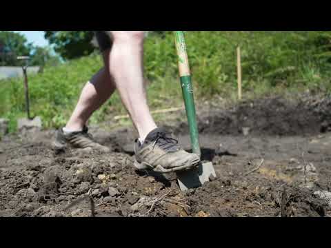 Intro to Peak Park Conservation Volunteers (PPCV)