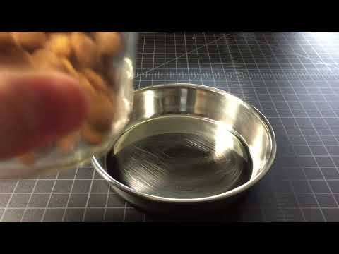 Cat Food Sounds - Dry Food Cat Call - Time to eat!!! Free to use sound effect