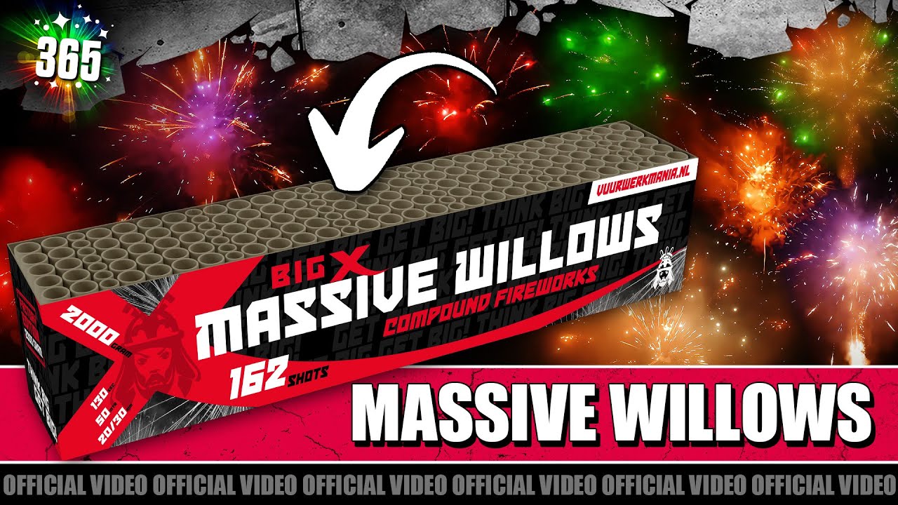 Video Big X Massive Willows