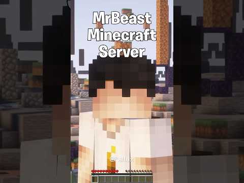 Uncovered: Secret MrBeast Minecraft Server! #pallux