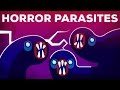 Die gruseligsten Parasiten- NTDs erklärt