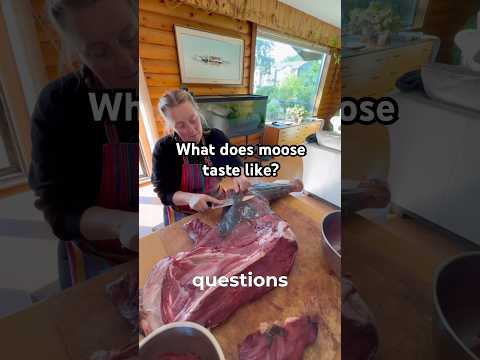 What does moose taste like?
