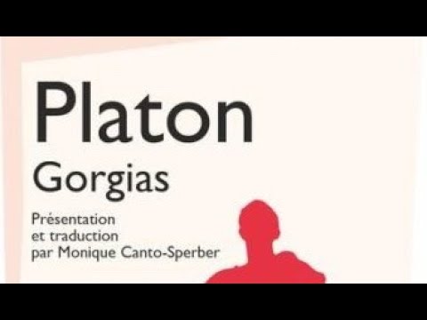 Calliclès, Tout ce qu'il faut savoir en 3 minutes #Gorgias de #Platon #Calliclès #bonheur #plaisir
