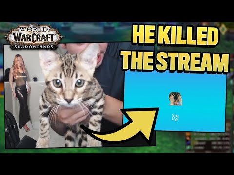 KITTEN LOST US THE GAME? Druid 3s with the team!