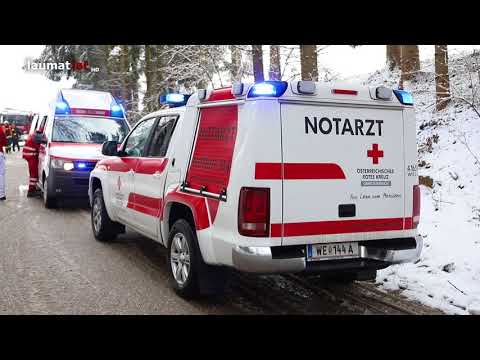 Auto kracht bei Unfall in Offenhausen gegen Baum