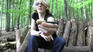 Tagged! One Item To Choose