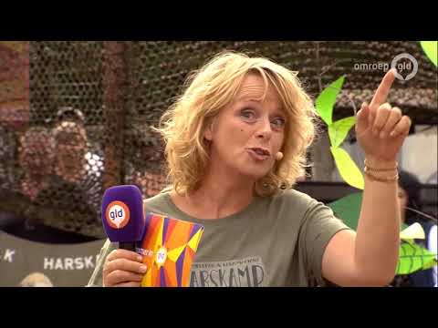 Zomer in Gelderland 8 augustus 2018 - Harskamp