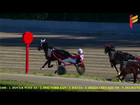 II Corsa del 8 Febbraio 2022 - 3 Anni - Metri 1600