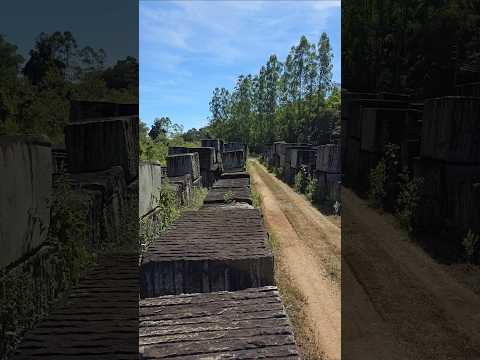 cenário de filme Pátio ferroviário localizado entre Carmo da mata e Oliveira MG