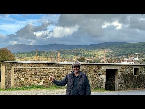 #101 The roof is next