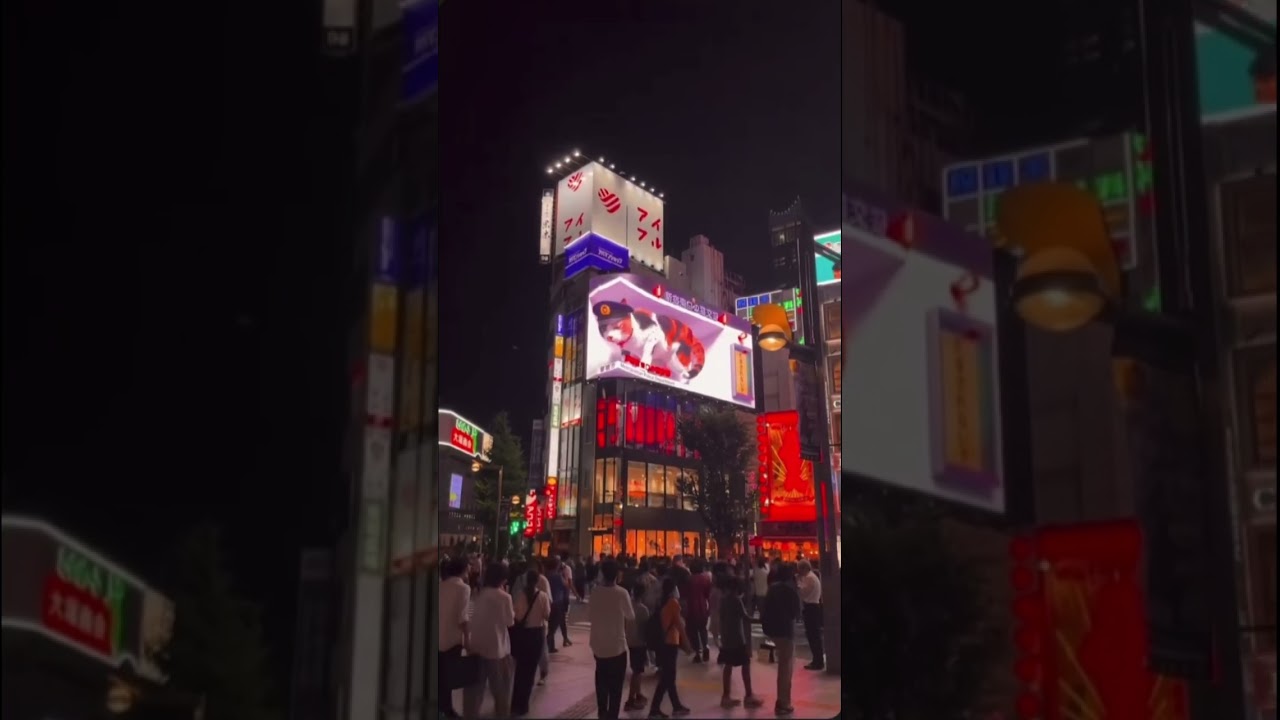 これが私の人生です。#japantravel #japantrip #naruto #日本の風景