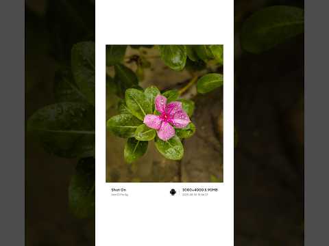 How to use pro mode in mobile 📱#smartphone #photography #photoediting