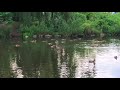 Nature At Its Best