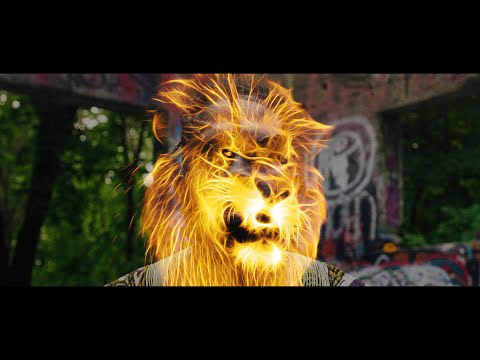 Lass Shellz - Jungle (OFFICIAL MUSIC VIDEO)