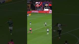 O TIMÃO TÁ COLOCANDO O CARLOS MIGUEL PRA TRABALHAR!!! E O GOLEIRÃO DO PALMEIRAS TÁ DANDO O NOME!