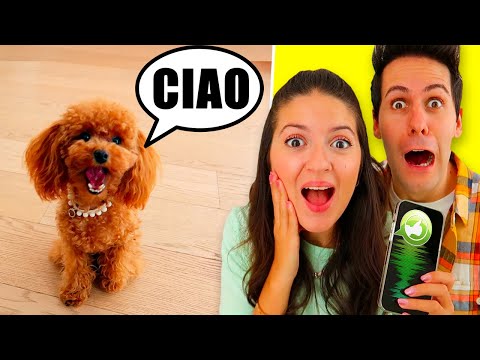 IL NOSTRO CAGNOLINO CAMILLA PARLA COL TRADUTTORE!!