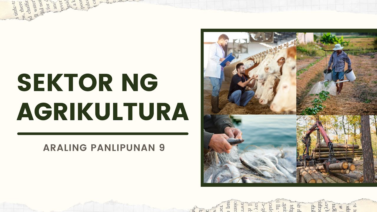 Sektor ng Agrikultura: Subsektor at Gampanin Nito