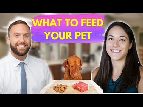 Veterinary Nutritionist Explains What To Feed Your Pet