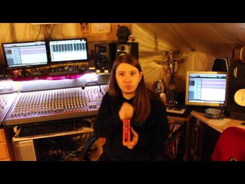 warm audio 500 series wa12 pre