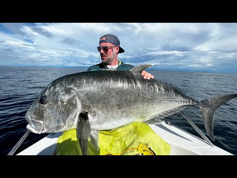 Store giant trevally på Madagaskar