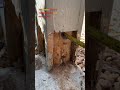 Fixing Some Timber Rot. #shorts #handyman #realestate