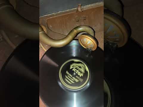 1929 Brunswick Portable “Peter Gink”