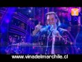 Albert Hammond, Ansiedad, Festival de Viña 2013