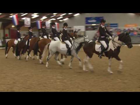 MONTAGE NK carrousel 2017 pony's - Zeewolde Jeugd