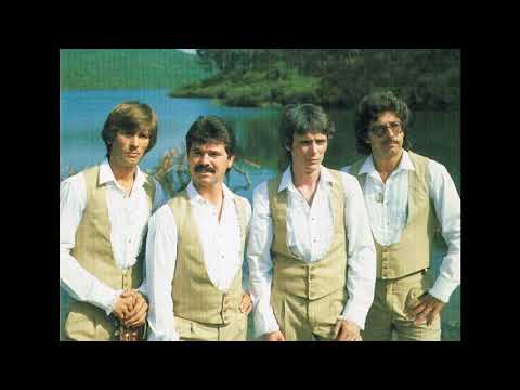 Los Polares de Sur - Y me volví a equivocar