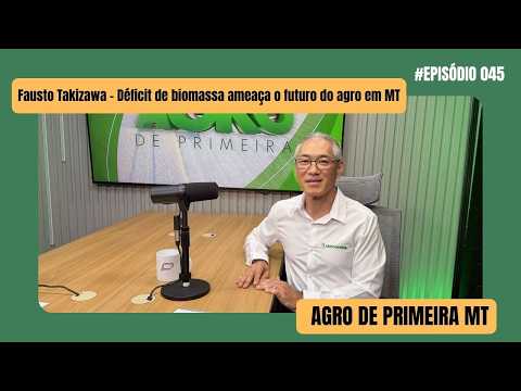 Mato Grosso pode enfrentar apagão de biomassa com avanço da agroindústria