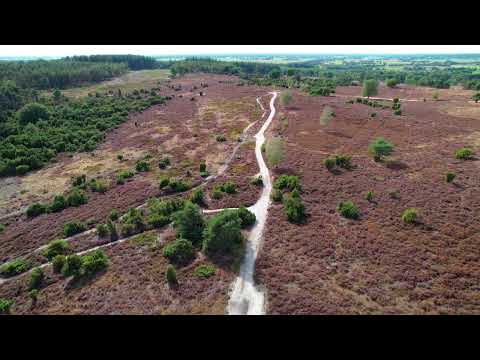 De Archemerberg, Lemele, The Netherlands - by Drone DJI Air 2S [4K]