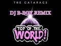 The Cataracs Feat. Dev - Top Of The World (DJ B ...