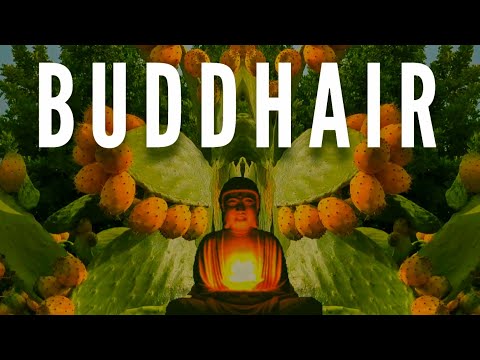 ZaPaTaZz - BUDDHAir (Official Video)