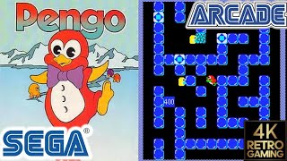 Pengo Arcade ( Sega 1982 ) 4k Gameplay