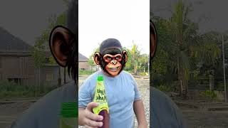 Download lagu Ambil untukmu #shorts#trending#lucu#subscribe mp3